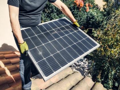 Research: Exploring ways to harness plant molecules for solar energy | Research: Exploring ways to harness plant molecules for solar energy