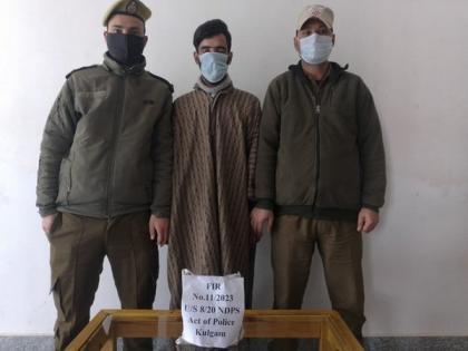 Notorious drug peddler arrested in J-K's Kulgam, contraband substance recovered | Notorious drug peddler arrested in J-K's Kulgam, contraband substance recovered