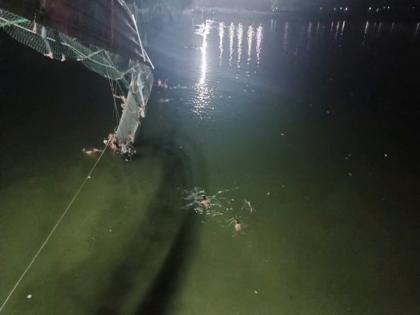 22 of 49 cables of collapsed Morbi bridge found corroded, reveals SIT report | 22 of 49 cables of collapsed Morbi bridge found corroded, reveals SIT report