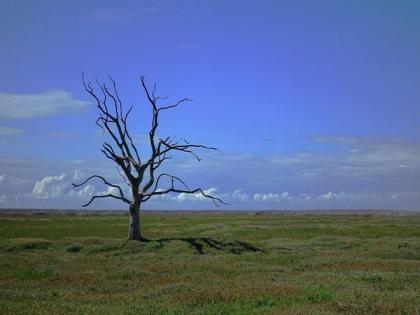 Climate Change: Lessons from latest global warming | Climate Change: Lessons from latest global warming