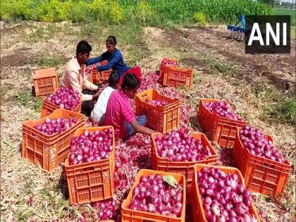 "Give us fair price or permission to commit suicide": Maharashtra Nashik farmers on low price for onions | "Give us fair price or permission to commit suicide": Maharashtra Nashik farmers on low price for onions "Give us fair price or permission to commit suicide": Maharashtra Nashik farmers on low price for onions | "Give us fair price or permission to commit suicide": Maharashtra Nashik farmers on low price for onions