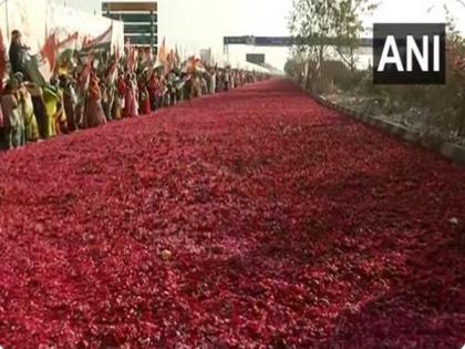 Congress plenary session: Street paved with flower petals to welcome Priyanka Gandhi in Raipur | Congress plenary session: Street paved with flower petals to welcome Priyanka Gandhi in Raipur