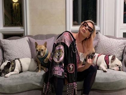 Lady Gaga sued by dog thief accomplice, more deets inside | Lady Gaga sued by dog thief accomplice, more deets inside