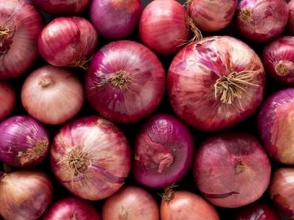 India exported onions worth USD 523.8 million in Apr-Dec 2022 | India exported onions worth USD 523.8 million in Apr-Dec 2022