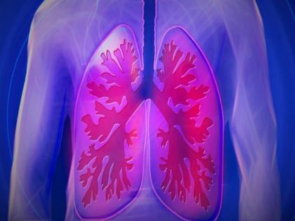 New lung health study identifies importance of early-life factors | New lung health study identifies importance of early-life factors