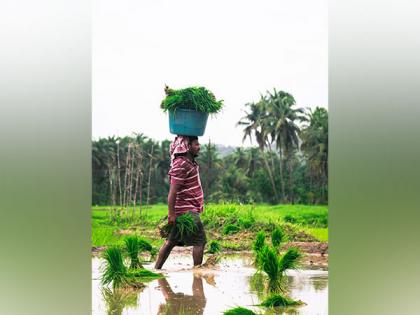 Trashigang's Lephu farmers use tarpaulin pond liners to avert water shortage issue | Trashigang's Lephu farmers use tarpaulin pond liners to avert water shortage issue