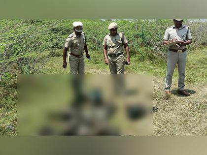 Tamil Nadu: Nearly 40 peacocks found dead in Madurai district | Tamil Nadu: Nearly 40 peacocks found dead in Madurai district Tamil Nadu: Nearly 40 peacocks found dead in Madurai district | Tamil Nadu: Nearly 40 peacocks found dead in Madurai district