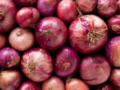 Govt agency NAFED to begin procurement of onion in Gujarat as prices fall | Govt agency NAFED to begin procurement of onion in Gujarat as prices fall Govt agency NAFED to begin procurement of onion in Gujarat as prices fall | Govt agency NAFED to begin procurement of onion in Gujarat as prices fall