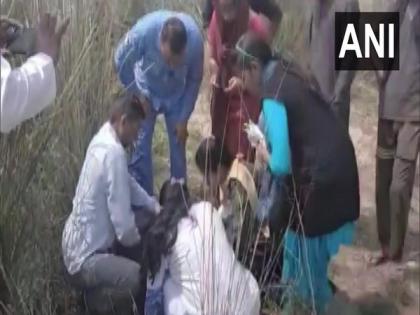 Haryana: Newborn baby found abandoned in bushes; rescued | Haryana: Newborn baby found abandoned in bushes; rescued