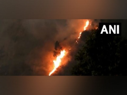 Forest fire breaks out near Kodaikanal hills in Tamil Nadu's Dindigul | Forest fire breaks out near Kodaikanal hills in Tamil Nadu's Dindigul
