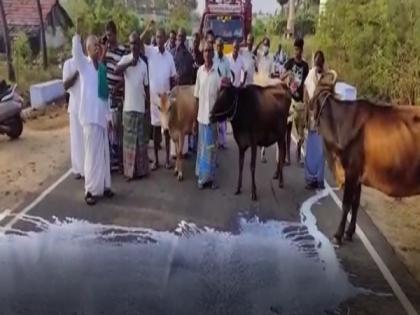 Erode: Dairy farmers throw milk on road demanding increase in procurement prices | Erode: Dairy farmers throw milk on road demanding increase in procurement prices