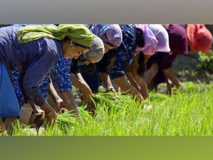 J-K farmers happy with 29 projects of agriculture department on 'holistic development' | J-K farmers happy with 29 projects of agriculture department on 'holistic development'