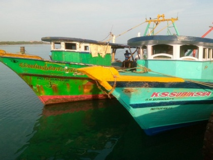 Sri Lankan Navy apprehends 12 Tamil Nadu fishermen | Sri Lankan Navy apprehends 12 Tamil Nadu fishermen
