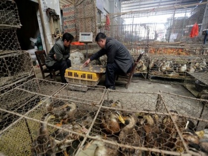 Coronavirus pandemic originated from illegally traded wild animals in Wuhan: Research | Coronavirus pandemic originated from illegally traded wild animals in Wuhan: Research