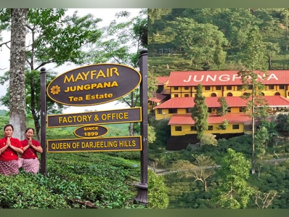 Mayfair Hotels &amp; Resorts acquires the historic Jungpana Tea Garden | Mayfair Hotels &amp; Resorts acquires the historic Jungpana Tea Garden