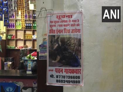MP: IAS officer's dog goes missing from Gwalior's Bilua area, police engage in search, "missing posters" pasted in area | MP: IAS officer's dog goes missing from Gwalior's Bilua area, police engage in search, "missing posters" pasted in area
