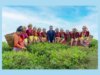 Okayti Tea Estate starts the First Flush plucking ceremoniously | Okayti Tea Estate starts the First Flush plucking ceremoniously