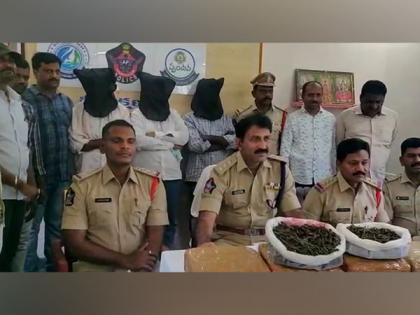 Palamaneru police arrests three persons for selling ganja in Andhra's Chittoor | Palamaneru police arrests three persons for selling ganja in Andhra's Chittoor