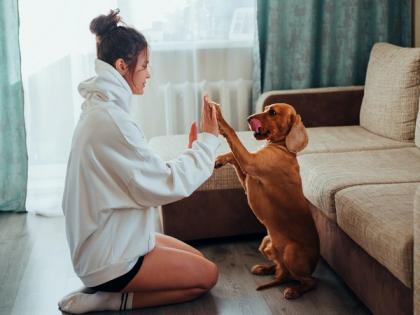 Young dog owners tend to cope better when their pup misbehaves: Study | Young dog owners tend to cope better when their pup misbehaves: Study