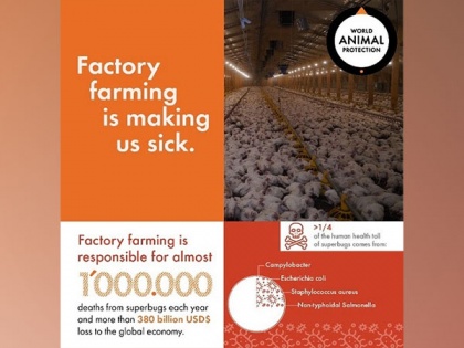 Rising Superbug Threat from Factory Farming: Study shows one million deaths aannually and projected doubling by 2050 | Rising Superbug Threat from Factory Farming: Study shows one million deaths aannually and projected doubling by 2050