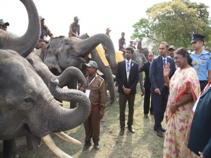 President Murmu inaugurates Gaj Utsav at Assam's Kaziranga National Park | President Murmu inaugurates Gaj Utsav at Assam's Kaziranga National Park