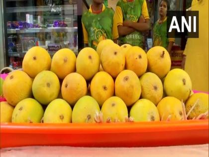 Alphonso mangoes now available on EMI in Pune | Alphonso mangoes now available on EMI in Pune