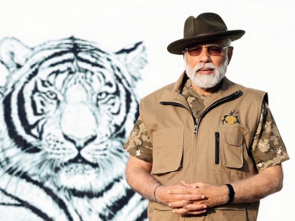 Congress takes credit for Project Tiger, questions PM Modi-led BJP govt's contribution to tiger conservation | Congress takes credit for Project Tiger, questions PM Modi-led BJP govt's contribution to tiger conservation