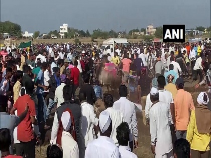Double bullock cart race thrills the crowd in Tamil Nadu's Ramanathapuram | Double bullock cart race thrills the crowd in Tamil Nadu's Ramanathapuram