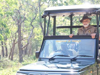 PM Modi shares more pictures of "amazing" visit to Bandipur, Mudumalai tiger reserves | PM Modi shares more pictures of "amazing" visit to Bandipur, Mudumalai tiger reserves