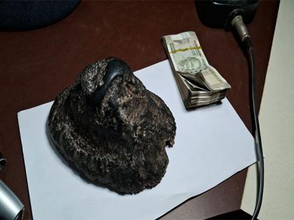 Assam: Rhino horn suspected to be from Kaziranga poaching incident recovered | Assam: Rhino horn suspected to be from Kaziranga poaching incident recovered