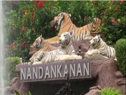 Nandankanan Zoo makes special arrangements to keep animals cool against heat wave | Nandankanan Zoo makes special arrangements to keep animals cool against heat wave Nandankanan Zoo makes special arrangements to keep animals cool against heat wave | Nandankanan Zoo makes special arrangements to keep animals cool against heat wave
