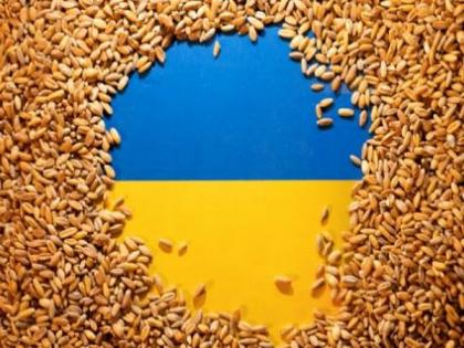 Poland to 'temporarily' prohibit grain, other food imports from Ukraine | Poland to 'temporarily' prohibit grain, other food imports from Ukraine