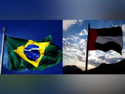 Brazil is UAE's leading trading partner in Latin America: Minister of State for Foreign Trade | Brazil is UAE's leading trading partner in Latin America: Minister of State for Foreign Trade