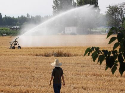 China needs to reconsider its economic focus, turn towards agriculture amid manufacturing and real estate crisis | China needs to reconsider its economic focus, turn towards agriculture amid manufacturing and real estate crisis