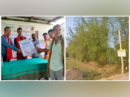 Assam: Solar fence installed at Goalpara to mitigate human-elephant conflict | Assam: Solar fence installed at Goalpara to mitigate human-elephant conflict