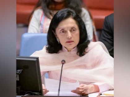 Could effective multilateralism be practised by defending charter making 5 nations more equal than others: Ambassador Kamboj at UN | Could effective multilateralism be practised by defending charter making 5 nations more equal than others: Ambassador Kamboj at UN