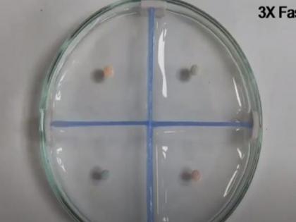 IIT Guwahati researchers develop 'Time bomb' liquid marbles with Nanoclay for controlled drug delivery | IIT Guwahati researchers develop 'Time bomb' liquid marbles with Nanoclay for controlled drug delivery