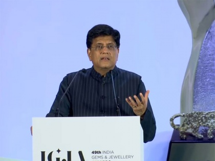 Last nine years have been defining period for our sisters: Piyush Goyal | Last nine years have been defining period for our sisters: Piyush Goyal