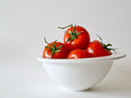 Israeli researchers develop drought-resistant tomato | Israeli researchers develop drought-resistant tomato