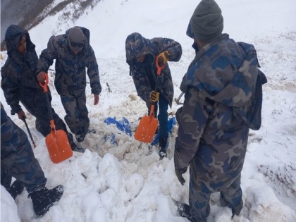 At least 5 people out in search of Himalayan Viagra suspected to be missing in avalanche in Nepal: Police | At least 5 people out in search of Himalayan Viagra suspected to be missing in avalanche in Nepal: Police