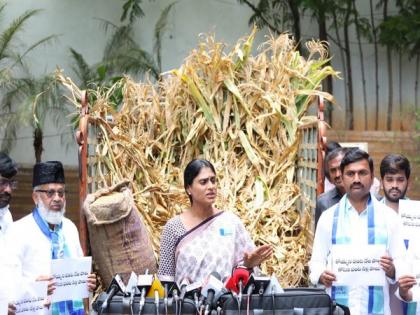 YS Sharmila sends truck full of damaged crops to Telangana CM KCR, demands Rs 30,000 per acre as compensation | YS Sharmila sends truck full of damaged crops to Telangana CM KCR, demands Rs 30,000 per acre as compensation