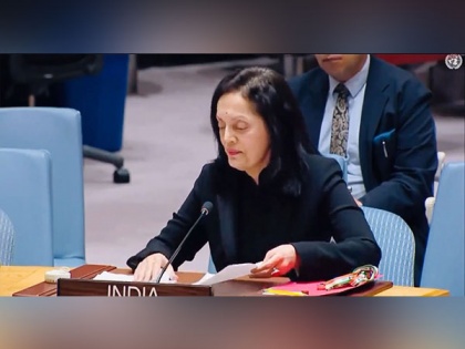 Can UNSC deem to be inclusive by making 5 members more equal than others, India asks at UNSC | Can UNSC deem to be inclusive by making 5 members more equal than others, India asks at UNSC