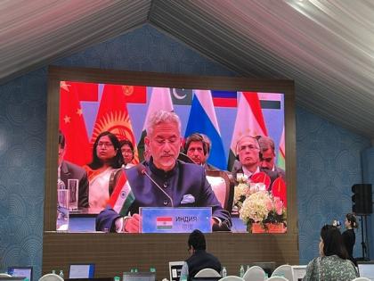 Terrorism must be stopped in all forms including cross-border terror: Jaishankar at SCO meet in Goa | Terrorism must be stopped in all forms including cross-border terror: Jaishankar at SCO meet in Goa