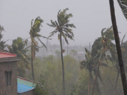 Cyclone Mocha intensifies into "very severe" storm, to peak by tonight: IMD | Cyclone Mocha intensifies into "very severe" storm, to peak by tonight: IMD