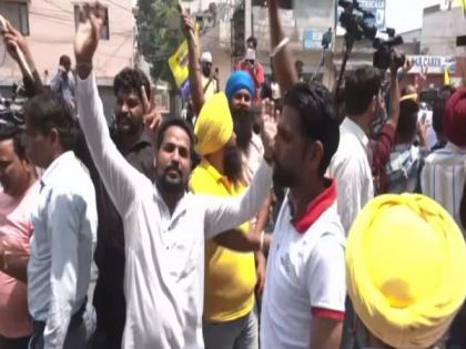 Punjab: AAP workers burst crackers as party leads in Jalandhar LS bypoll | Punjab: AAP workers burst crackers as party leads in Jalandhar LS bypoll