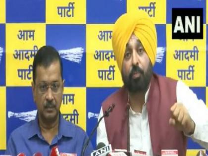 "We don't reflect in surveys, form govt directly": Punjab CM Mann on Jalandhar by-poll victory | "We don't reflect in surveys, form govt directly": Punjab CM Mann on Jalandhar by-poll victory