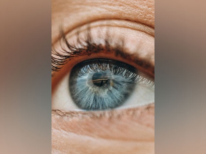 Study reveals human eyes play 'tricks' on minds | Study reveals human eyes play 'tricks' on minds
