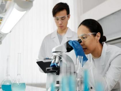 Study reveals how head, neck cancer organoids used for personalized treatments | Study reveals how head, neck cancer organoids used for personalized treatments Study reveals how head, neck cancer organoids used for personalized treatments | Study reveals how head, neck cancer organoids used for personalized treatments