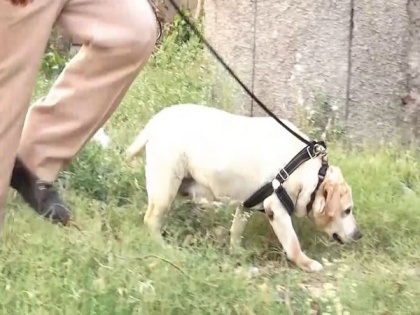 Punjab Police Canine squad's Labrador dog beats cancer, joins back on duty | Punjab Police Canine squad's Labrador dog beats cancer, joins back on duty