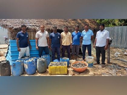 Marine police seizes 550 kg banned sea cucumbers from a house in Rameshwaram | Marine police seizes 550 kg banned sea cucumbers from a house in Rameshwaram